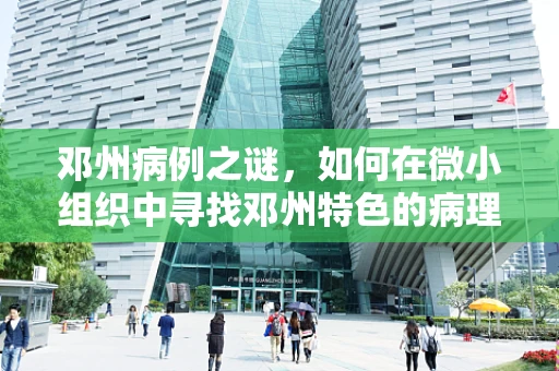 邓州病例之谜，如何在微小组织中寻找邓州特色的病理学挑战？