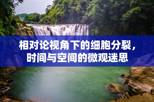 相对论视角下的细胞分裂，时间与空间的微观迷思