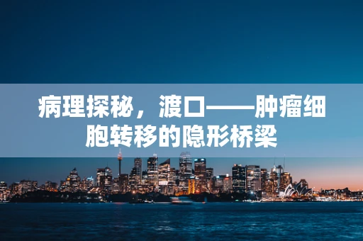 病理探秘，渡口——肿瘤细胞转移的隐形桥梁