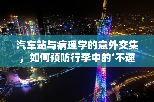汽车站与病理学的意外交集，如何预防行李中的‘不速之客’？