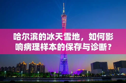 哈尔滨的冰天雪地，如何影响病理样本的保存与诊断？