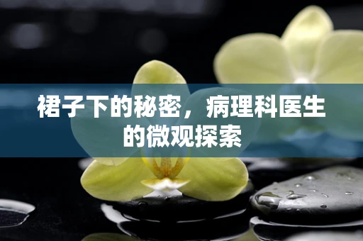 裙子下的秘密，病理科医生的微观探索