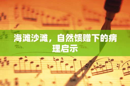 海滩沙滩，自然馈赠下的病理启示