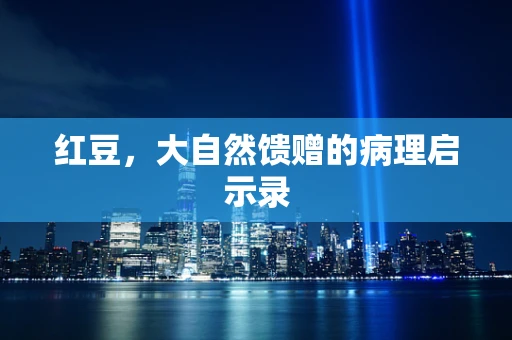 红豆，大自然馈赠的病理启示录
