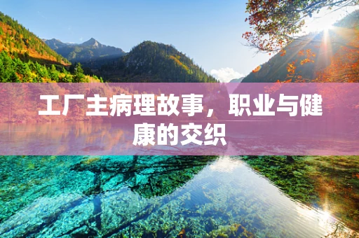 工厂主病理故事，职业与健康的交织