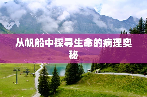 从帆船中探寻生命的病理奥秘