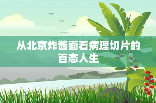 从北京炸酱面看病理切片的百态人生