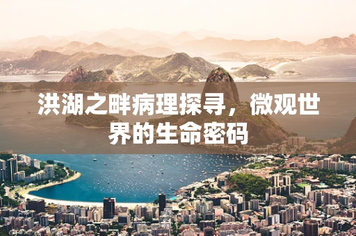 洪湖之畔病理探寻，微观世界的生命密码