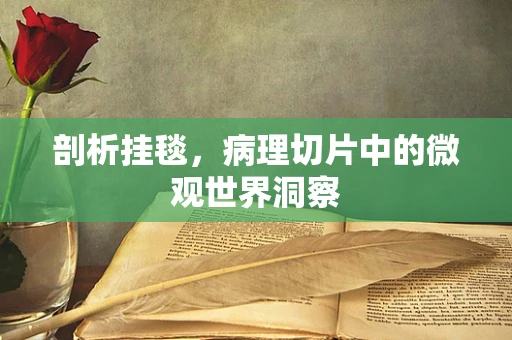 剖析挂毯，病理切片中的微观世界洞察