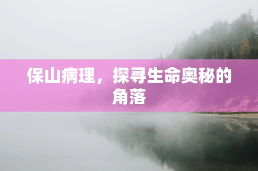保山病理，探寻生命奥秘的角落
