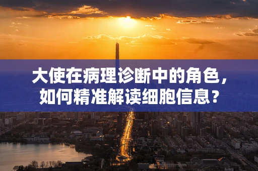 大使在病理诊断中的角色，如何精准解读细胞信息？