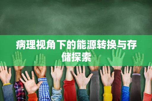 病理视角下的能源转换与存储探索