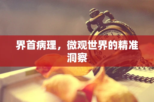 界首病理，微观世界的精准洞察
