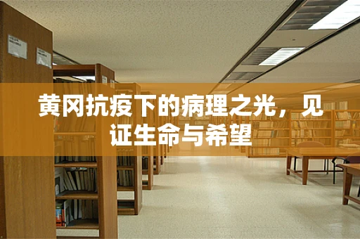 黄冈抗疫下的病理之光，见证生命与希望