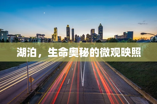湖泊，生命奥秘的微观映照