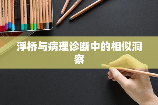 浮桥与病理诊断中的相似洞察