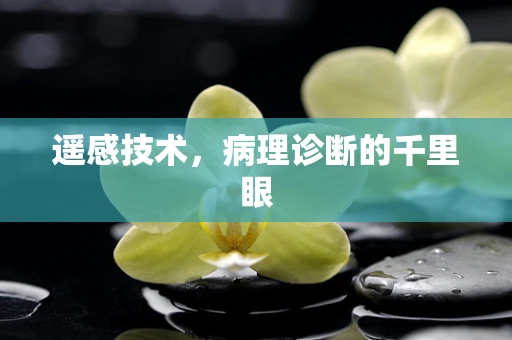 遥感技术，病理诊断的千里眼
