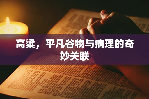高粱，平凡谷物与病理的奇妙关联