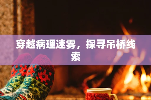 穿越病理迷雾，探寻吊桥线索
