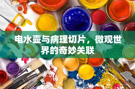 电水壶与病理切片，微观世界的奇妙关联