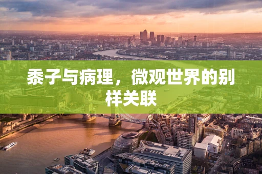 黍子与病理，微观世界的别样关联