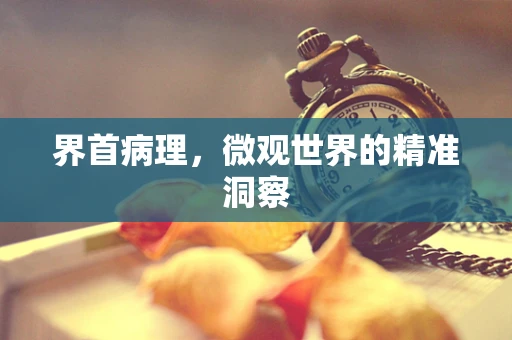 界首病理，微观世界的精准洞察