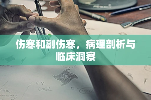 伤寒和副伤寒，病理剖析与临床洞察