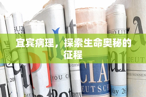 宜宾病理，探索生命奥秘的征程