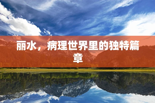 丽水，病理世界里的独特篇章