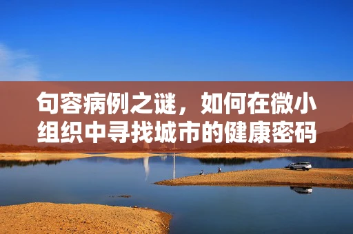 句容病例之谜，如何在微小组织中寻找城市的健康密码？