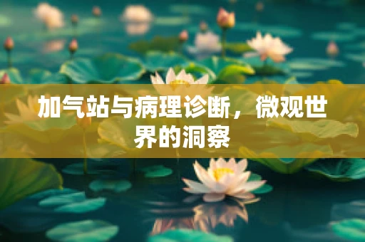 加气站与病理诊断，微观世界的洞察