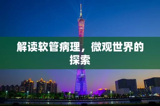 解读软管病理，微观世界的探索