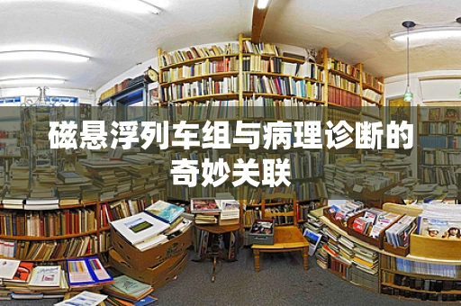 磁悬浮列车组与病理诊断的奇妙关联