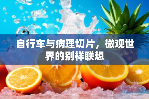 自行车与病理切片，微观世界的别样联想