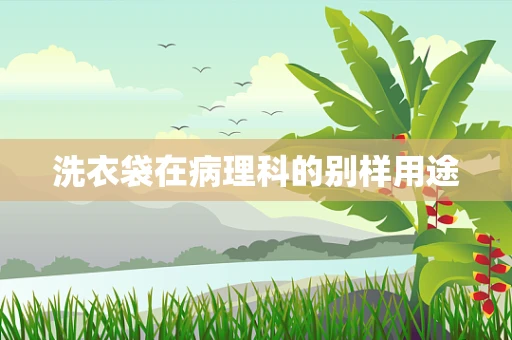 洗衣袋在病理科的别样用途