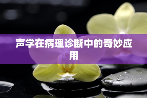 声学在病理诊断中的奇妙应用