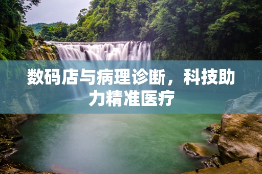 数码店与病理诊断，科技助力精准医疗