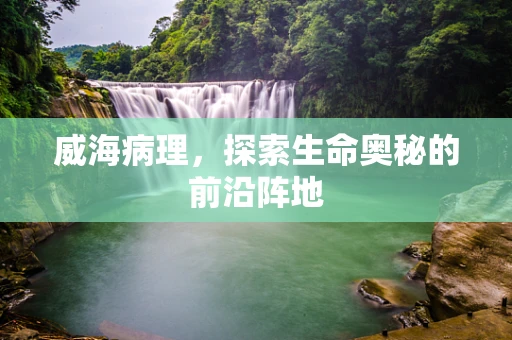 威海病理，探索生命奥秘的前沿阵地