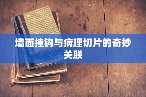 墙面挂钩与病理切片的奇妙关联