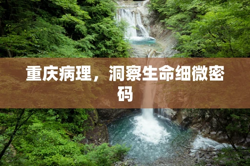 重庆病理，洞察生命细微密码