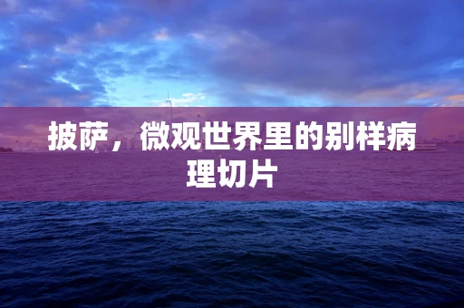 披萨，微观世界里的别样病理切片