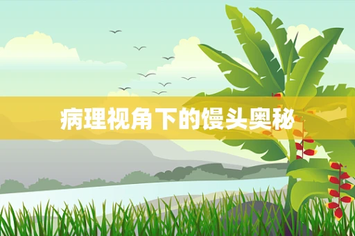 病理视角下的馒头奥秘