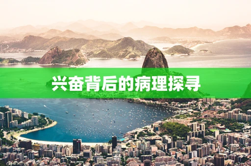 兴奋背后的病理探寻
