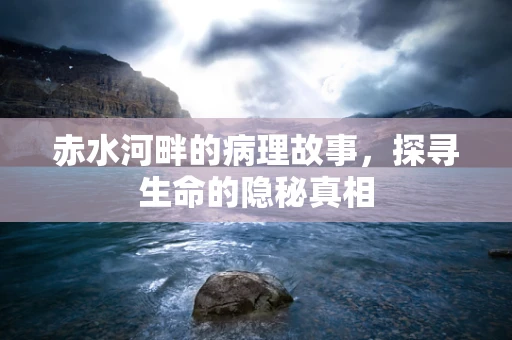 赤水河畔的病理故事，探寻生命的隐秘真相