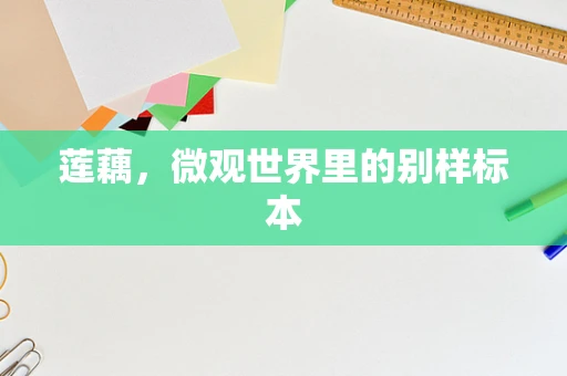 莲藕，微观世界里的别样标本
