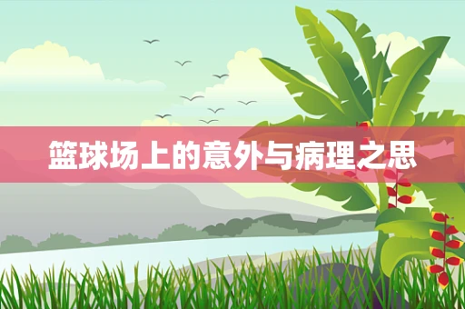 篮球场上的意外与病理之思