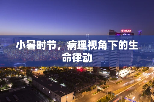 小暑时节，病理视角下的生命律动