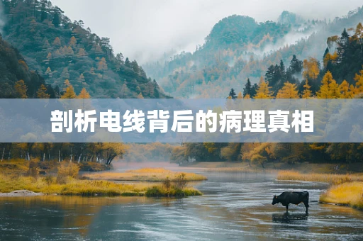 剖析电线背后的病理真相