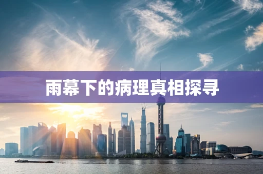 雨幕下的病理真相探寻