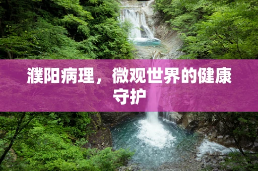 濮阳病理，微观世界的健康守护